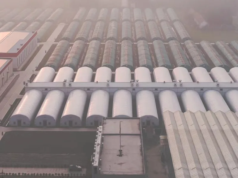 Covered cultivation facilities in Guan County